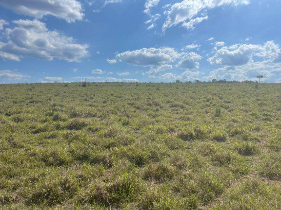 Imagem Fazenda à Venda, 70 m² em Itatinga - Itatinga