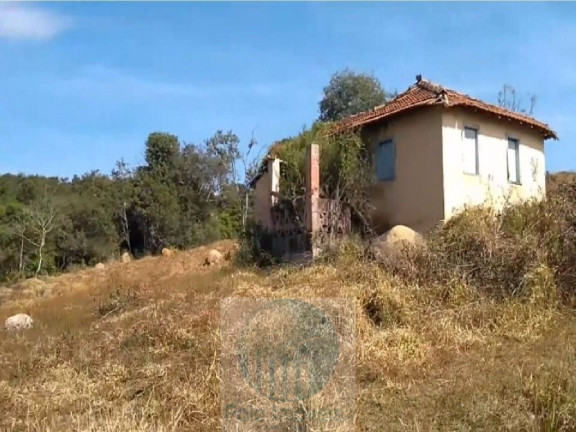 Imagem Imóvel com 4 Quartos à Venda, 540.628 m² em Zona Rural - Biguatinga