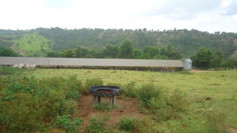 Imagem Fazenda à Venda, 60 m² em Azurita - Mateus Leme