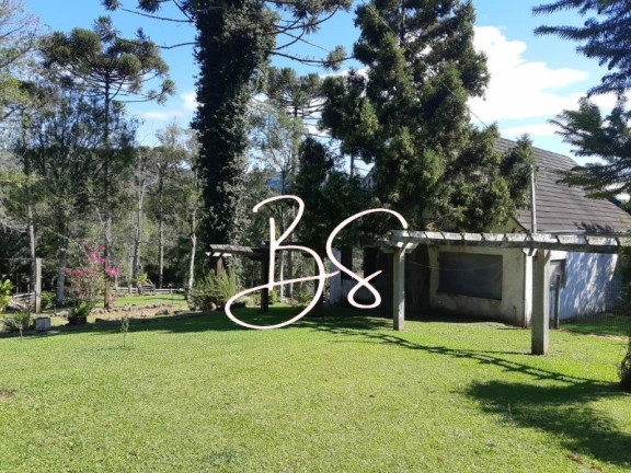 Imagem Imóvel com 2 Quartos à Venda, 15.000 m² em Linha Araripe - Gramado Imagem Imóvel com 2 Quartos à Venda, 15.000 m² em Linha Araripe - Gramado