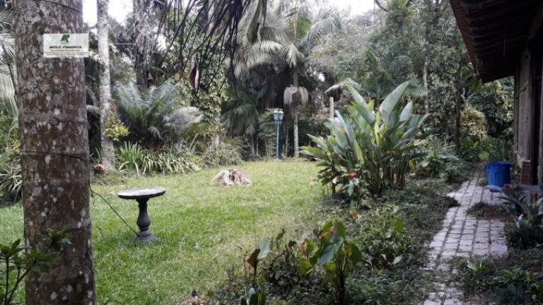 Imagem Chácara com 4 Quartos à Venda, 5.000 m² em Alto Da Serra - São Roque Imagem Chácara com 4 Quartos à Venda, 5.000 m² em Alto Da Serra - São Roque