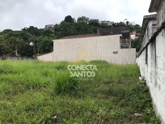 Imagem Terreno para Alugar, 1.008 m² em Jabaquara - Santos Imagem Terreno para Alugar, 1.008 m² em Jabaquara - Santos