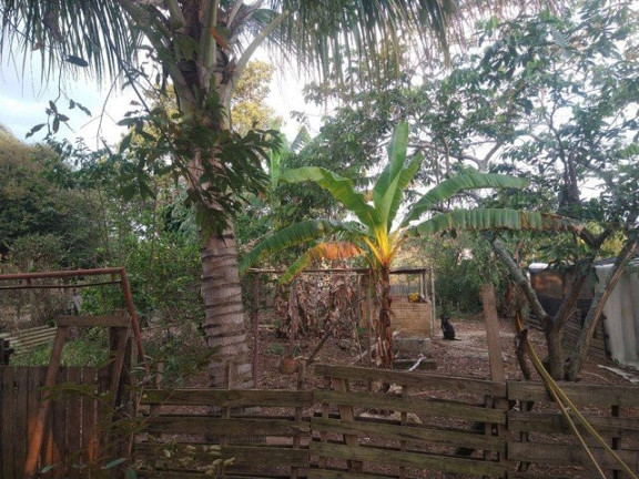 Imagem Fazenda à Venda, 3.000 m² em Jardim Santa Luzia - Guaratinguetá
