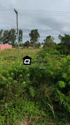 Imagem Imóvel à Venda, 400 m² em Br 293 - Capão Do Leão Imagem Imóvel à Venda, 400 m² em Br 293 - Capão Do Leão