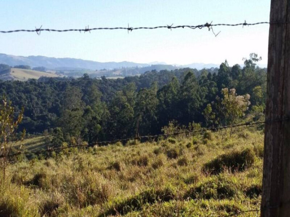 Imagem Fazenda à Venda, 940 m² em Dos Silva - Morungaba Imagem Fazenda à Venda, 940 m² em Dos Silva - Morungaba
