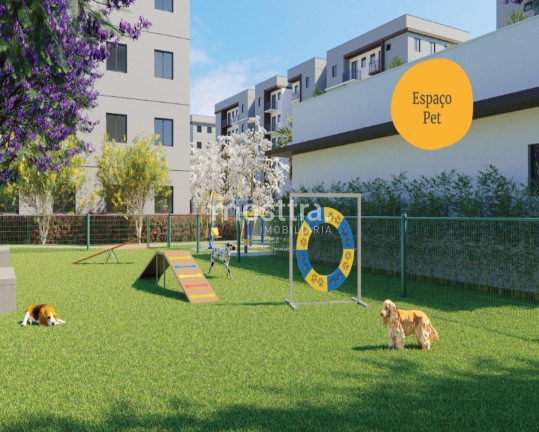 Imagem Apartamento com 2 Quartos à Venda, 45 m² em Jardim Hubert - Indaiatuba Imagem Apartamento com 2 Quartos à Venda, 45 m² em Jardim Hubert - Indaiatuba