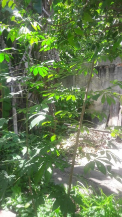 Imagem Imóvel com 2 Quartos à Venda, 80 m² em Campo Grande - Rio De Janeiro Imagem Imóvel com 2 Quartos à Venda, 80 m² em Campo Grande - Rio De Janeiro