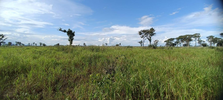 Imagem Fazenda à Venda, 1.200 m² em Rural - Corumbá