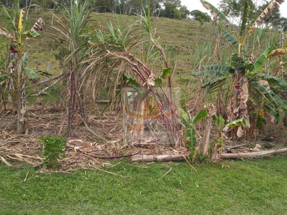 Imagem Fazenda à Venda, 72.000 m² em Padre André - Jacupiranga Imagem Fazenda à Venda, 72.000 m² em Padre André - Jacupiranga
