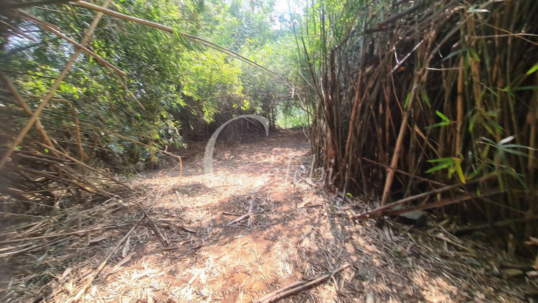 Imagem Chácara com 3 Quartos à Venda, 10 m² em área Rural De Mogi Mirim - Moji Mirim Imagem Chácara com 3 Quartos à Venda, 10 m² em área Rural De Mogi Mirim - Moji Mirim