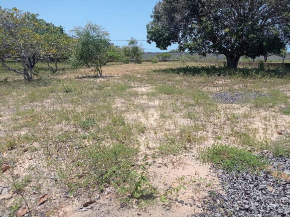 Imagem Terreno à Venda, 360 m² em Carapibus - Conde Imagem Terreno à Venda, 360 m² em Carapibus - Conde