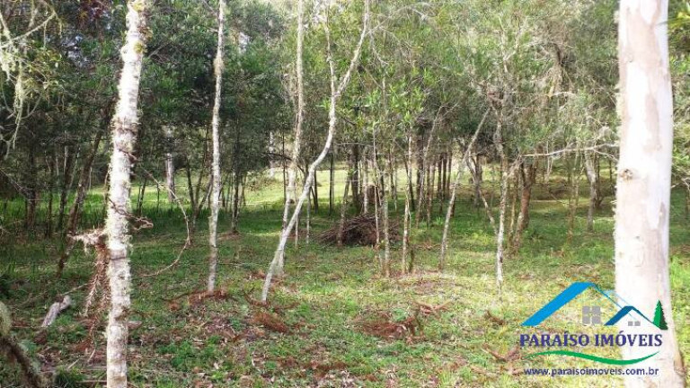 Imagem Terreno à Venda, 10.794 m² em Centro - Gonçalves