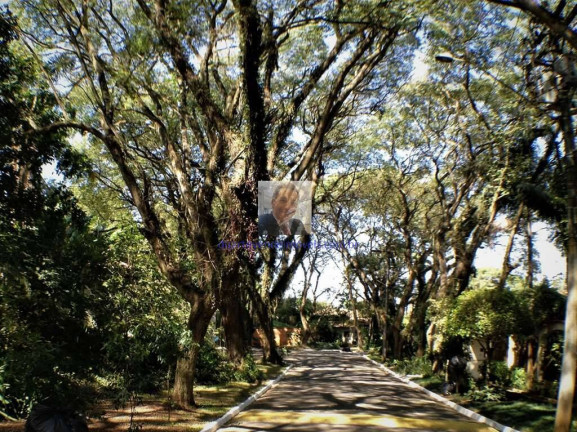 Imagem Terreno à Venda, 509 m² em Vila Vianna - Cotia Imagem Terreno à Venda, 509 m² em Vila Vianna - Cotia