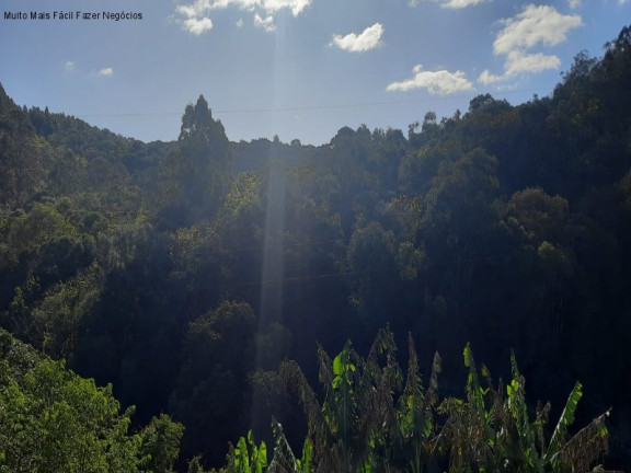 Imagem Casa com 2 Quartos à Venda, 64 m² em Recanto Dos Plátanos - Nova Petrópolis Imagem Casa com 2 Quartos à Venda, 64 m² em Recanto Dos Plátanos - Nova Petrópolis