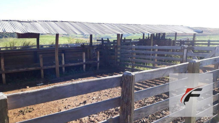 Imagem Fazenda à Venda, 2.988.700 m² em Rural - Faxinal Imagem Fazenda à Venda, 2.988.700 m² em Rural - Faxinal