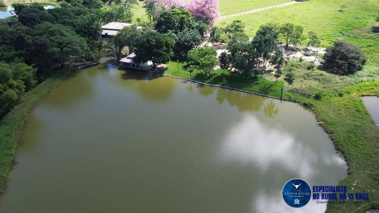 Imagem Chácara à Venda, 8 m² em Zona Rural - Petrolina De Goiás Imagem Chácara à Venda, 8 m² em Zona Rural - Petrolina De Goiás
