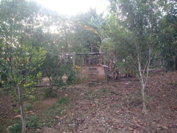 Imagem Fazenda à Venda, 3.000 m² em Jardim Santa Luzia - Guaratinguetá