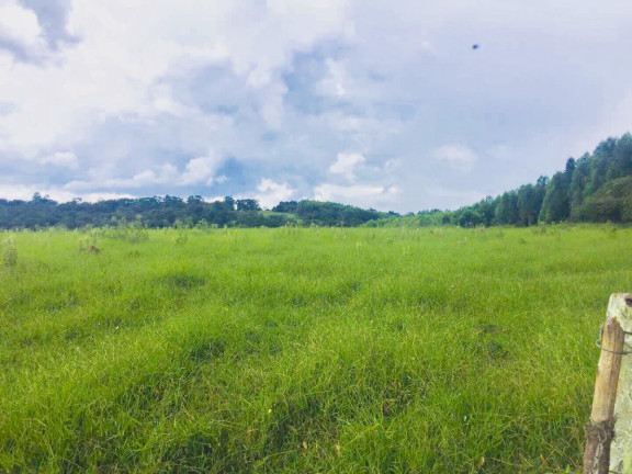 Imagem Chácara à Venda, 9 m² em Area Rural De Avaré - Avaré Imagem Chácara à Venda, 9 m² em Area Rural De Avaré - Avaré