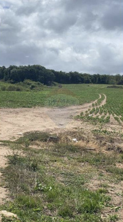 Imagem Fazenda à Venda, 825.000 m² em Zona Rural - Encruzilhada Do Sul Imagem Fazenda à Venda, 825.000 m² em Zona Rural - Encruzilhada Do Sul