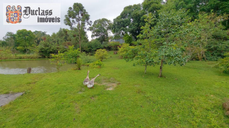 Imagem Chácara com 4 Quartos à Venda, 450 m² em Dos Tenentes - Extrema Imagem Chácara com 4 Quartos à Venda, 450 m² em Dos Tenentes - Extrema
