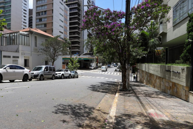 Imagem Imóvel com 3 Quartos à Venda, 232 m² em Jardim América - São Paulo Imagem Imóvel com 3 Quartos à Venda, 232 m² em Jardim América - São Paulo