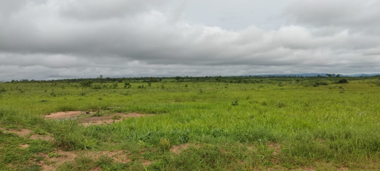Imagem Imóvel à Venda,  em Natividade/to - Natividade