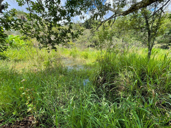 Imagem Chácara com 4 Quartos à Venda, 3 m² em Santa Terezinha De Minas - Itatiaiuçu Imagem Chácara com 4 Quartos à Venda, 3 m² em Santa Terezinha De Minas - Itatiaiuçu