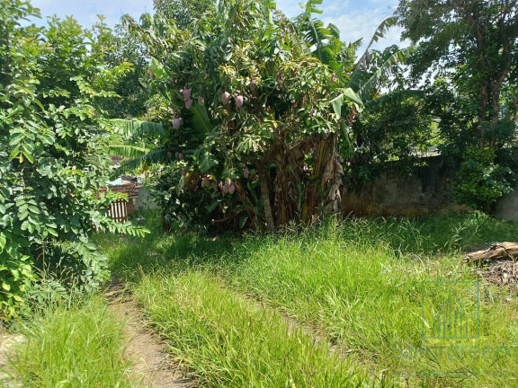 Imagem Casa com 2 Quartos à Venda, 112 m² em Terra Preta (terra Preta) - Mairiporã Imagem Casa com 2 Quartos à Venda, 112 m² em Terra Preta (terra Preta) - Mairiporã