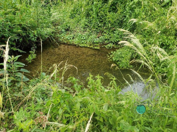 Imagem Imóvel com 3 Quartos à Venda, 350.000 m² em Zona Rural - Bom Retiro Imagem Imóvel com 3 Quartos à Venda, 350.000 m² em Zona Rural - Bom Retiro