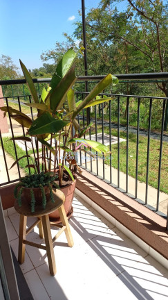 Imagem Apartamento com 2 Quartos à Venda, 50 m² em Jardim Tamoio - Jundiaí Imagem Apartamento com 2 Quartos à Venda, 50 m² em Jardim Tamoio - Jundiaí