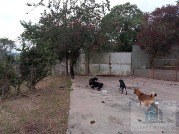 Imagem Chácara com 2 Quartos à Venda, 3.000 m² em Chácaras Vista Alegre - Arujá