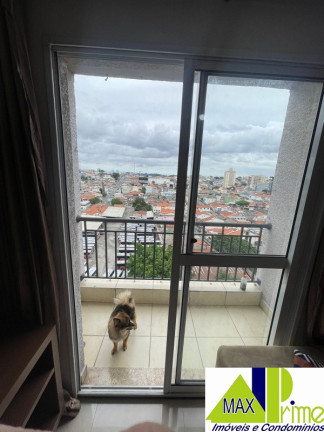 Imagem Apartamento com 3 Quartos à Venda, 62 m² em Vila Talarico - São Paulo Imagem Apartamento com 3 Quartos à Venda, 62 m² em Vila Talarico - São Paulo