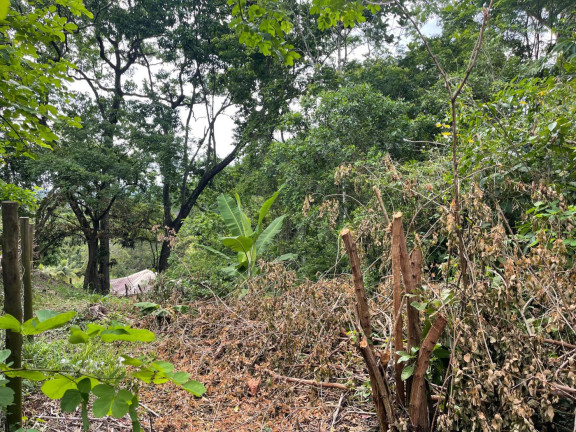 Imagem Terreno à Venda, 2.000 m² em Guaratiba - Rio De Janeiro