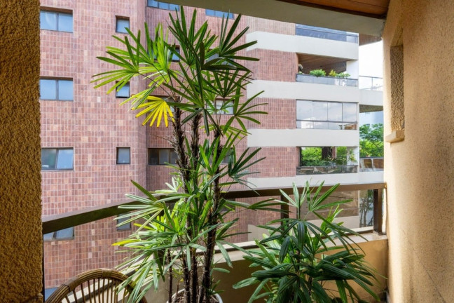 Imagem Imóvel com 3 Quartos à Venda, 243 m² em Jardim Vitória Régia - São Paulo