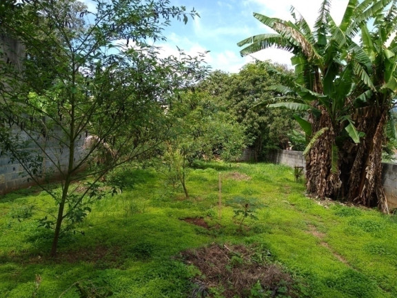 Imagem Casa com 4 Quartos à Venda, 534 m² em Jardim Colonial - Atibaia Imagem Casa com 4 Quartos à Venda, 534 m² em Jardim Colonial - Atibaia
