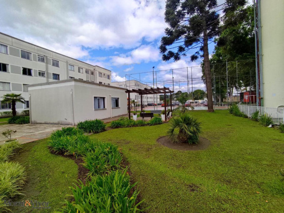 Imagem Apartamento com 2 Quartos à Venda, 45 m² em Iná - São José Dos Pinhais Imagem Apartamento com 2 Quartos à Venda, 45 m² em Iná - São José Dos Pinhais