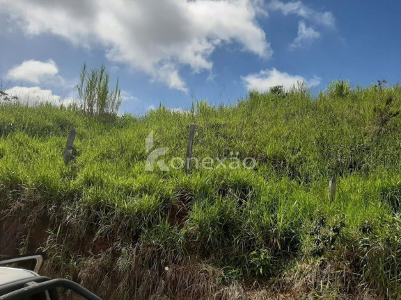 Imagem Chácara com 3 Quartos à Venda, 300 m² em Centro - Taubaté