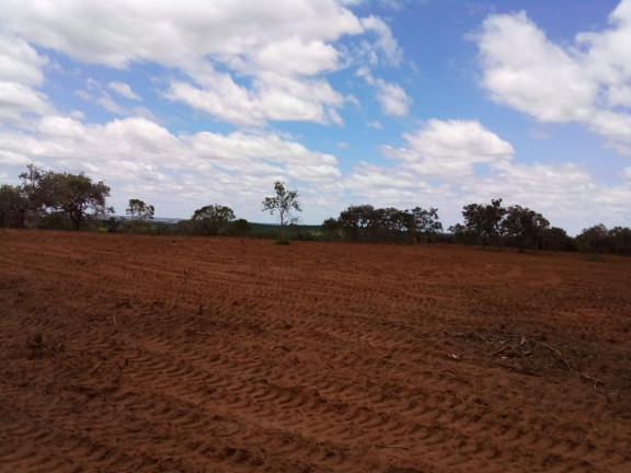 Imagem Fazenda à Venda, 32 m² em Rural - Bauru Imagem Fazenda à Venda, 32 m² em Rural - Bauru