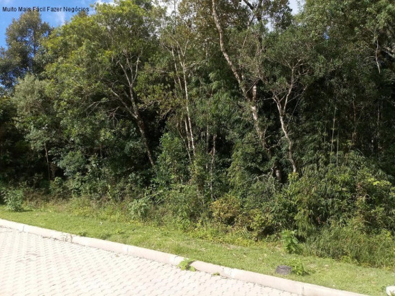 Terreno à Venda, 370 m² em Linha Imperial - Nova Petrópolis