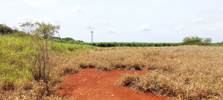 Imagem Terreno à Venda, 20.000 m² em área Rural De Iracemápolis - Iracemápolis Imagem Terreno à Venda, 20.000 m² em área Rural De Iracemápolis - Iracemápolis