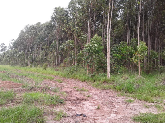 Imagem Chácara à Venda, 15 m² em Area Rural De Avaré - Avaré
