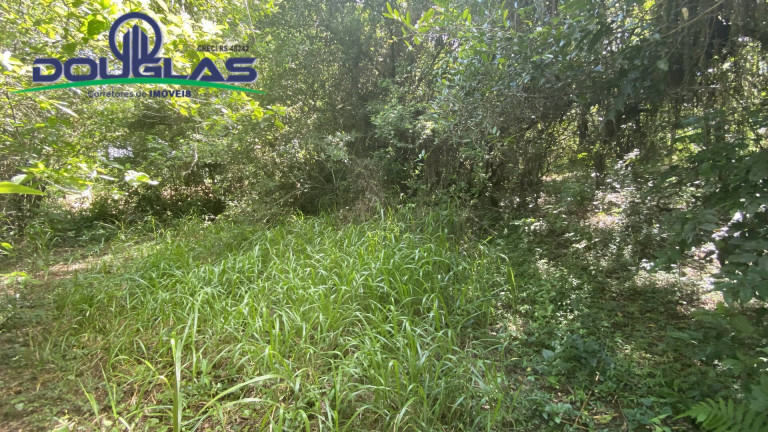 Imagem Terreno à Venda, 5.000 m² em Viamão