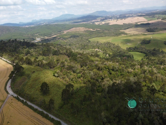 Imagem Imóvel com 2 Quartos à Venda, 500.000 m² em Interior - Otacílio Costa Imagem Imóvel com 2 Quartos à Venda, 500.000 m² em Interior - Otacílio Costa