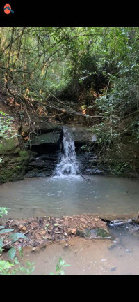 Imagem Chácara à Venda, 1.079 m² em Cercado - Araçoiaba Da Serra Imagem Chácara à Venda, 1.079 m² em Cercado - Araçoiaba Da Serra