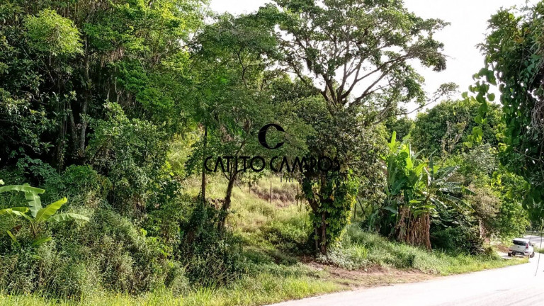 Imagem Terreno à Venda, 1 m² em Canto Dos Ganchos - Governador Celso Ramos Imagem Terreno à Venda, 1 m² em Canto Dos Ganchos - Governador Celso Ramos
