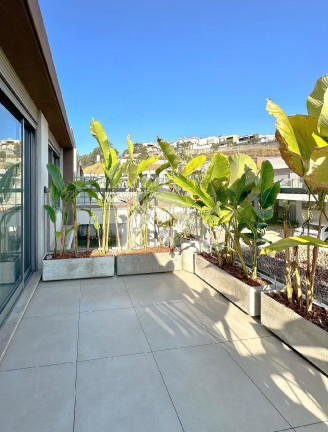 Imagem Casa de Condomínio com 3 Quartos para Alugar, 200 m² em Tamboré - Santana De Parnaíba Imagem Casa de Condomínio com 3 Quartos para Alugar, 200 m² em Tamboré - Santana De Parnaíba