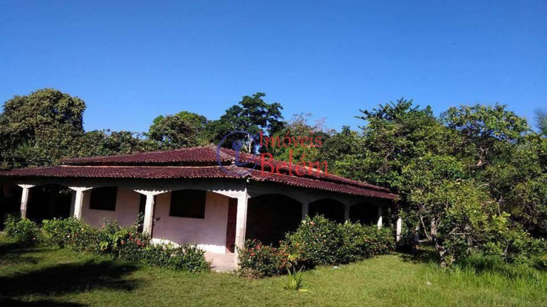 Imagem Casa com 4 Quartos à Venda, 3.970 m² em Centro - Vigia Imagem Casa com 4 Quartos à Venda, 3.970 m² em Centro - Vigia