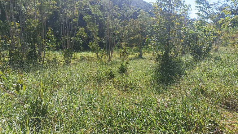 Imagem Chácara com 1 Quarto à Venda, 200 m² em Mirandão - Paraibuna