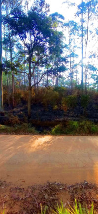 Imagem Imóvel à Venda, 266.200 m² em Pedra Vermelha (terra Preta) - Mairiporã Imagem Imóvel à Venda, 266.200 m² em Pedra Vermelha (terra Preta) - Mairiporã