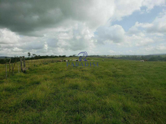 Imagem Fazenda à Venda, 800.000 m² em Zona Rural - São Sebastião Do Passe Imagem Fazenda à Venda, 800.000 m² em Zona Rural - São Sebastião Do Passe